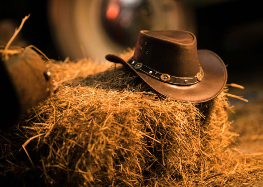 Pros and Cons of Different Styles of Cowboy Hats